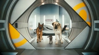 Cats and Dogs | Die Rache der Kitty Kahlohr