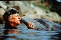 The Cove | Die Bucht